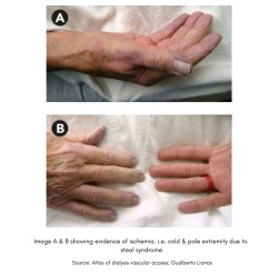 Screenshot_20190301-190120__01