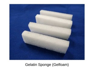 Screenshot_20190312-194535__01