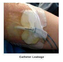 Screenshot_20190325-173306__01