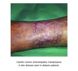 Screenshot_20190403-190143__01