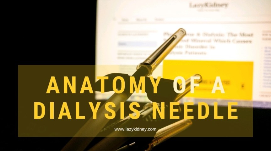 Anatomy of a Dialysis&nbsp;Needle