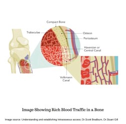 Screenshot_20200215-141258__01