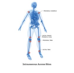 Screenshot_20200215-141312__01