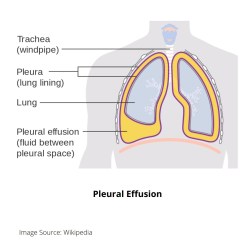 Screenshot_20200413-230401__01